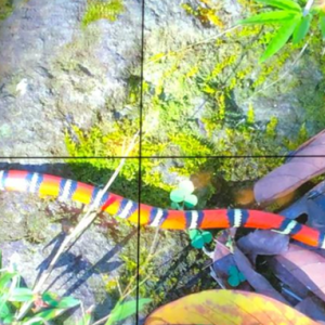 49" LCD Video Wall Screen 4 panels