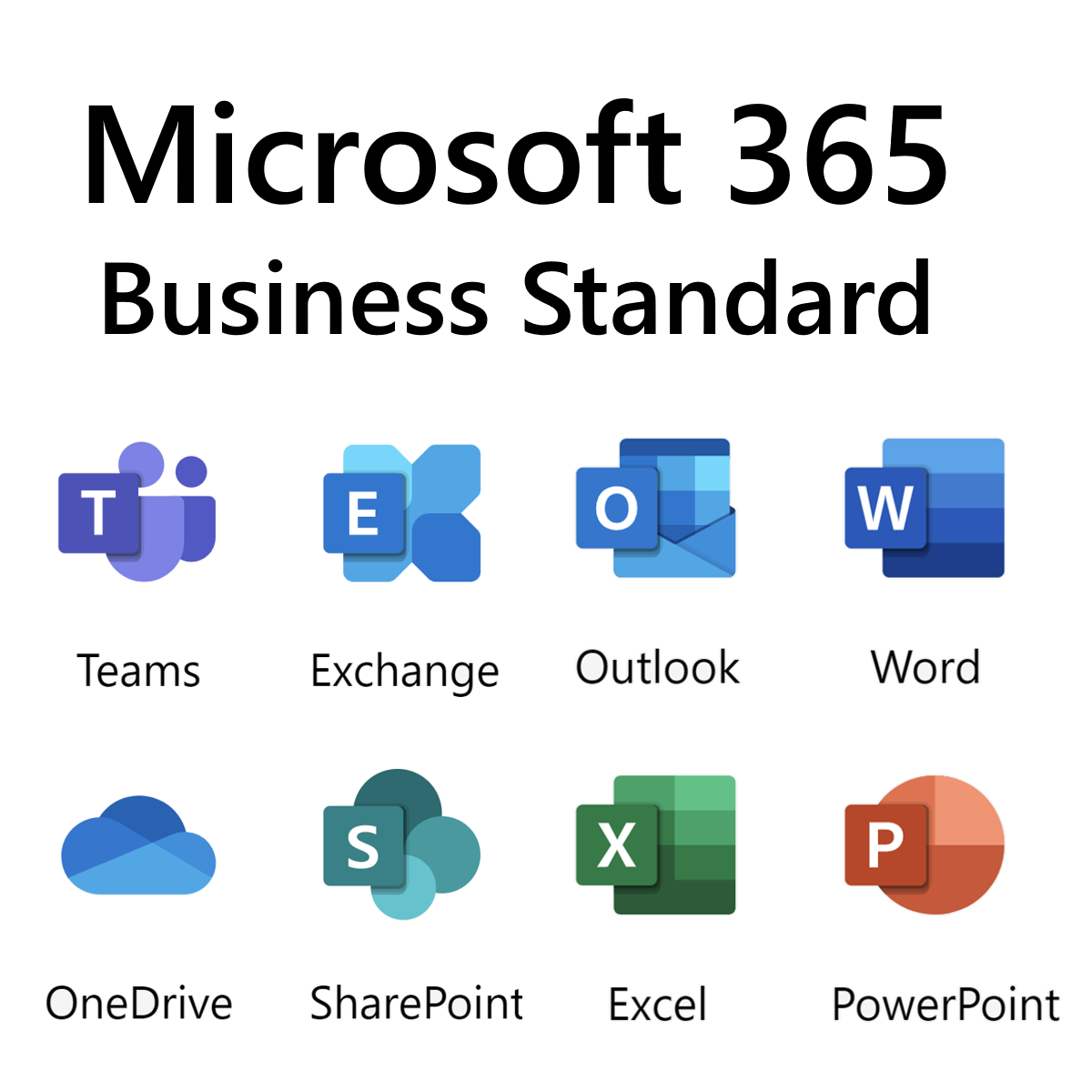 Microsoft 365 Business Standard (No Teams)
