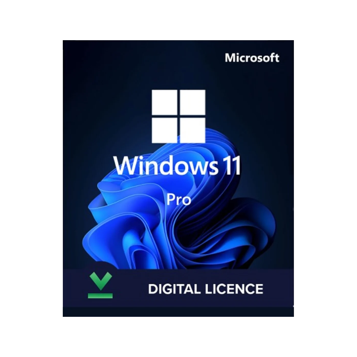 Windows 11 Profesional 64Bit